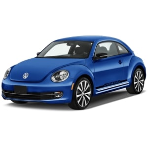 BEETLE 2011-2015