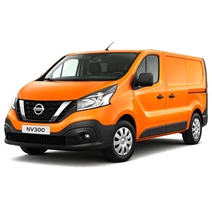 NV 300